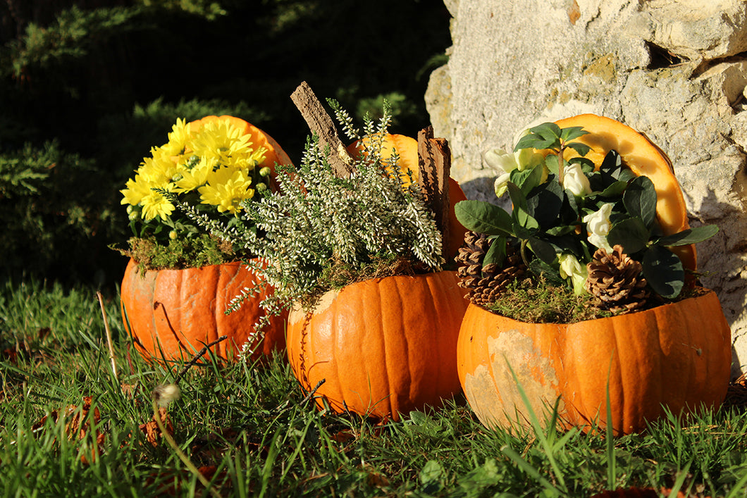 Atelier florale Composition d'automne