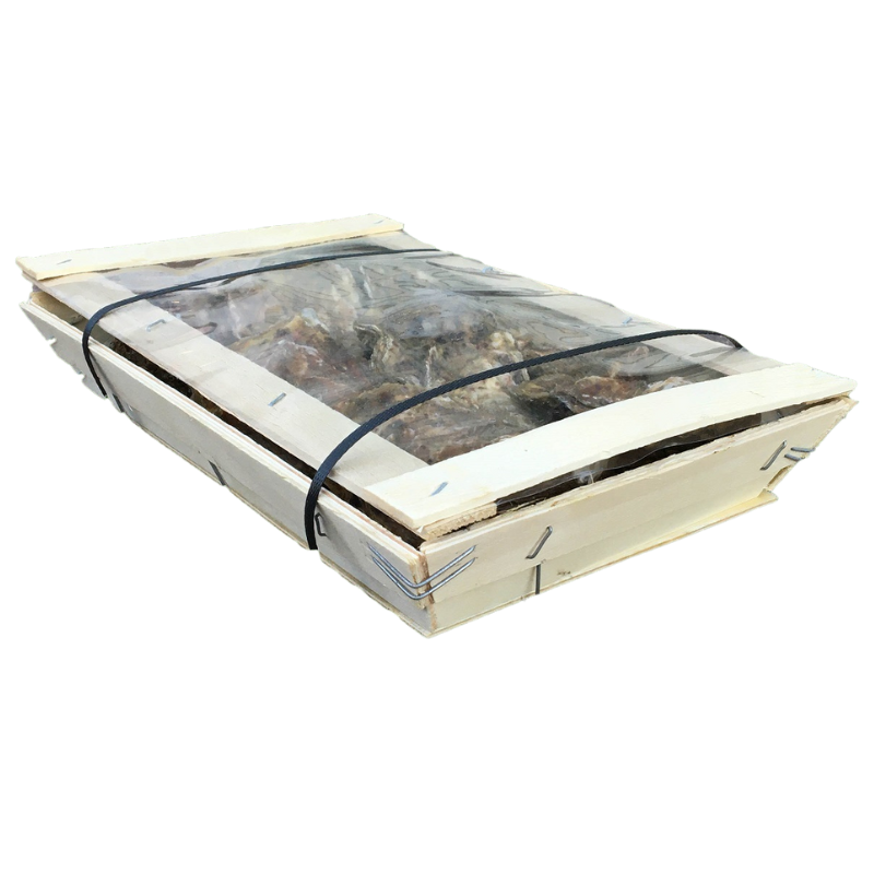 Huîtres Bouriche de 24 N°3